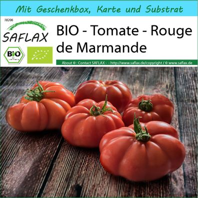 SAFLAX Geschenk Set - BIO - Tomate - Rouge de Marmande - Solanum - 10 Samen