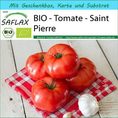 SAFLAX Geschenk Set - BIO - Tomate - Saint Pierre - Solanum - 15 Samen