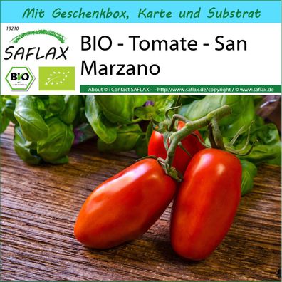 SAFLAX Geschenk Set - BIO - Tomate - San Marzano - Solanum - 15 Samen