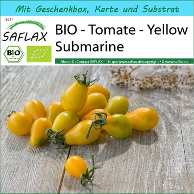 SAFLAX Geschenk Set - BIO - Tomate - Yellow Submarine - Solanum - 10 Samen