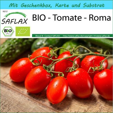 SAFLAX Geschenk Set - BIO - Tomate - Roma - Solanum - 15 Samen