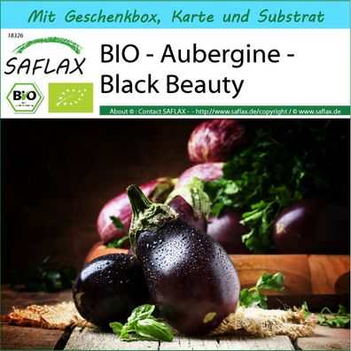 SAFLAX Geschenk Set - BIO - Aubergine - Black Beauty - Solanum - 25 Samen