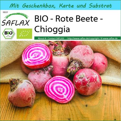 SAFLAX Geschenk Set - BIO - Rote Beete - Chioggia - Beta - 70 Samen