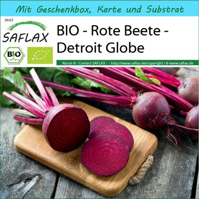 SAFLAX Geschenk Set - BIO - Rote Beete - Detroit Globe - Beta - 100 Samen