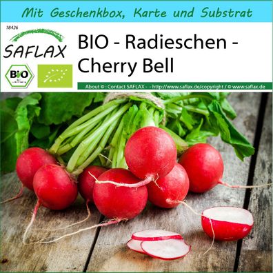 SAFLAX Geschenk Set - BIO - Radieschen - Cherry Bell - Raphanus - 100 Samen
