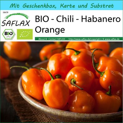 SAFLAX Geschenk Set - BIO - Chili - Habanero Orange - Capsicum - 20 Samen