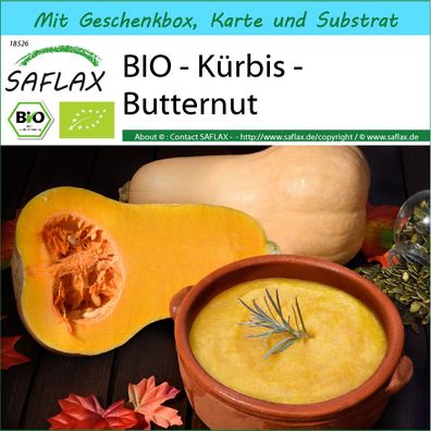 SAFLAX Geschenk Set - BIO - Kürbis - Butternut - Cucurbita - 6 Samen