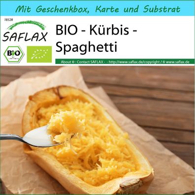 SAFLAX Geschenk Set - BIO - Kürbis - Spaghetti - Cucurbita - 5 Samen
