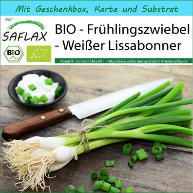 SAFLAX Geschenk Set - BIO - Frühlingszwiebel - Weißer Lissabonner - Allium - 150 Same