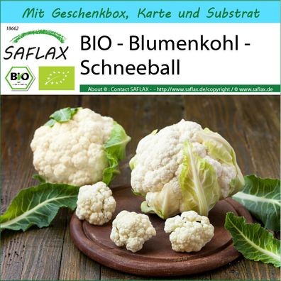 SAFLAX Geschenk Set - BIO - Blumenkohl - Schneeball - Brassica - 70 Samen