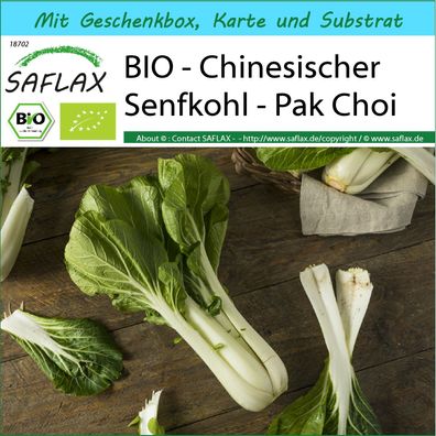 SAFLAX Geschenk Set - BIO - Chinesischer Senfkohl - Pak Choi - Brassica - 300 Samen