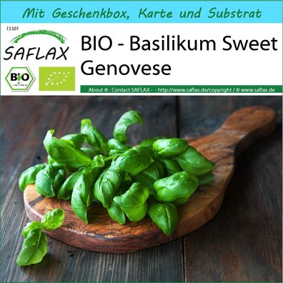 SAFLAX Geschenk Set - BIO - Basilikum Sweet Genovese - Ocimum - 800 Samen