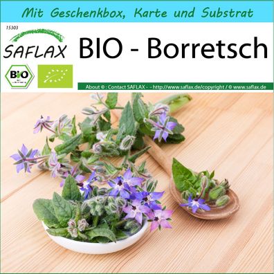 SAFLAX Geschenk Set - BIO - Borretsch - Borago - 40 Samen