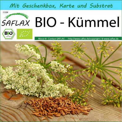 SAFLAX Geschenk Set - BIO - Kümmel - Carum - 800 Samen