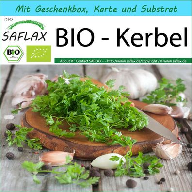 SAFLAX Geschenk Set - BIO - Kerbel - Anthriscus - 800 Samen