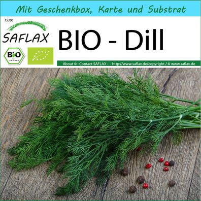 SAFLAX Geschenk Set - BIO - Dill - Anethum - 700 Samen