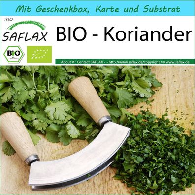 SAFLAX Geschenk Set - BIO - Koriander - Coriandrum - 150 Samen