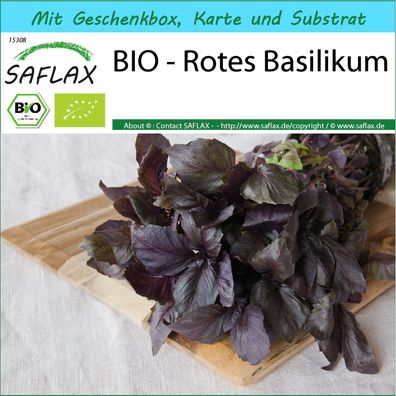 SAFLAX Geschenk Set - BIO - Rotes Basilikum - Ocimum - 400 Samen