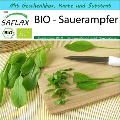 SAFLAX Geschenk Set - BIO - Sauerampfer - Rumex - 400 Samen