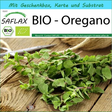 SAFLAX Geschenk Set - BIO - Oregano - Origanum - 1500 Samen