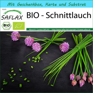 SAFLAX Geschenk Set - BIO - Schnittlauch - Allium - 250 Samen