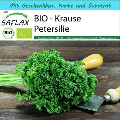 SAFLAX Geschenk Set - BIO - Krause Petersilie - Petroselinum - 800 Samen