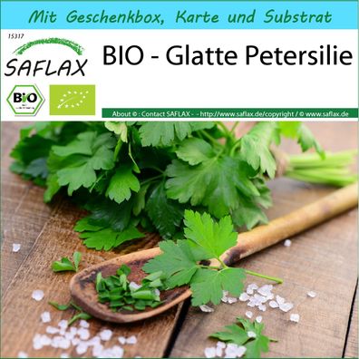 SAFLAX Geschenk Set - BIO - Glatte Petersilie - Petroselinum - 600 Samen