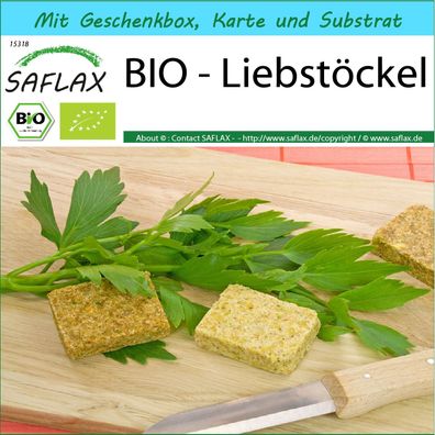 SAFLAX Geschenk Set - BIO - Liebstöckel - Levisticum - 100 Samen