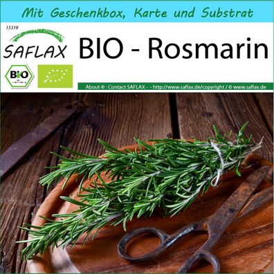 SAFLAX Geschenk Set - BIO - Rosmarin - Rosmarinus - 40 Samen