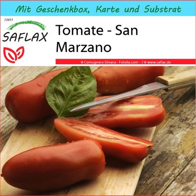 SAFLAX Geschenk Set - Tomate - San Marzano - Lycopersicon - 10 Samen