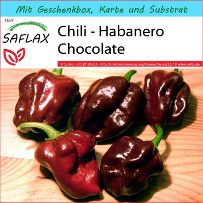 SAFLAX Geschenk Set - Chili - Habanero Chocolate - Capsicum - 10 Samen