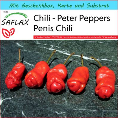 SAFLAX Geschenk Set - Chili - Peter Peppers Penis Chili - Capsicum - 10 Samen