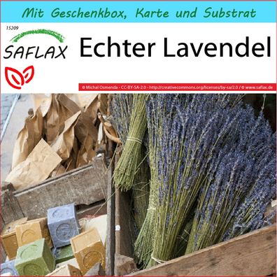 SAFLAX Geschenk Set - Echter Lavendel - Lavandula - 150 Samen