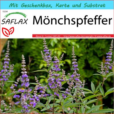 SAFLAX Geschenk Set - Mönchspfeffer - Vitex - 30 Samen