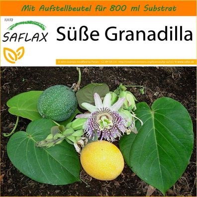 SAFLAX Garden in the Bag - Süße Granadilla - Passiflora - 20 Samen