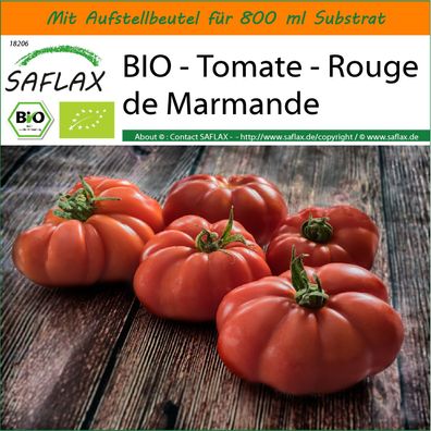SAFLAX Garden in the Bag - BIO - Tomate - Rouge de Marmande - Solanum - 10 Samen