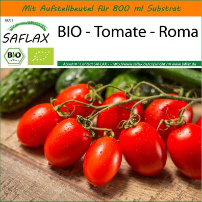 SAFLAX Garden in the Bag - BIO - Tomate - Roma - Solanum - 15 Samen