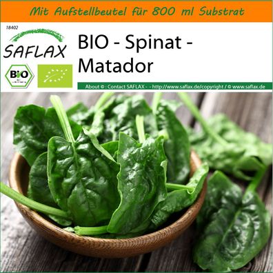 SAFLAX Garden in the Bag - BIO - Spinat - Matador - Spinacia - 300 Samen
