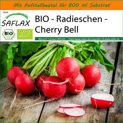 SAFLAX Garden in the Bag - BIO - Radieschen - Cherry Bell - Raphanus - 100 Samen