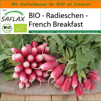SAFLAX Garden in the Bag - BIO - Radieschen - French Breakfast - Raphanus - 150 Samen