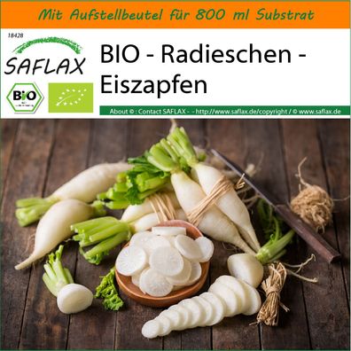 SAFLAX Garden in the Bag - BIO - Radieschen - Eiszapfen - Raphanus - 100 Samen