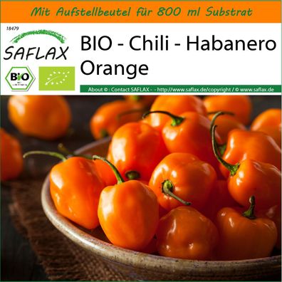 SAFLAX Garden in the Bag - BIO - Chili - Habanero Orange - Capsicum - 20 Samen