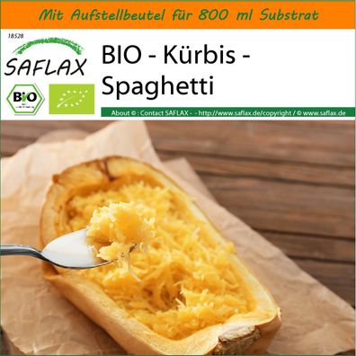 SAFLAX Garden in the Bag - BIO - Kürbis - Spaghetti - Cucurbita - 5 Samen