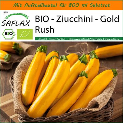 SAFLAX Garden in the Bag - BIO - Ziucchini - Gold Rush - Cucurbita - 5 Samen