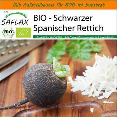 SAFLAX Garden in the Bag - BIO - Schwarzer Spanischer Rettich - Raphanus - 100 Samen