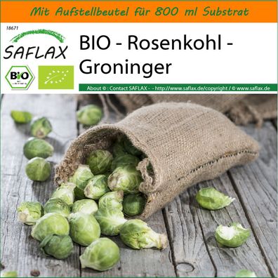 SAFLAX Garden in the Bag - BIO - Rosenkohl - Groninger - Brassica - 30 Samen