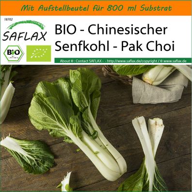 SAFLAX Garden in the Bag - BIO - Chinesischer Senfkohl - Pak Choi - Brassica - 300 Sa