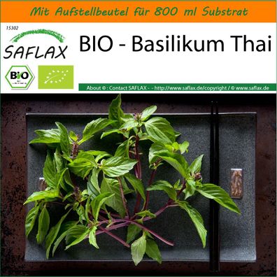SAFLAX Garden in the Bag - BIO - Basilikum Thai - Ocimum - 250 Samen