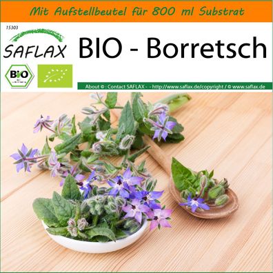 SAFLAX Garden in the Bag - BIO - Borretsch - Borago - 40 Samen