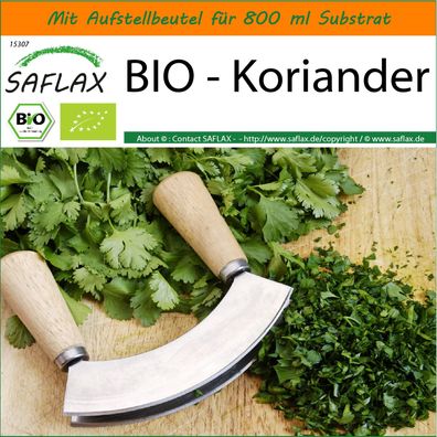 SAFLAX Garden in the Bag - BIO - Koriander - Coriandrum - 150 Samen